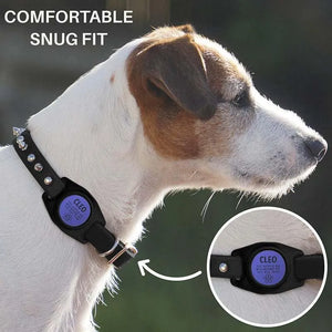 AirTag Cover Dog Collar or Harness Personalized, Custom Airtag Holder - GiftShire