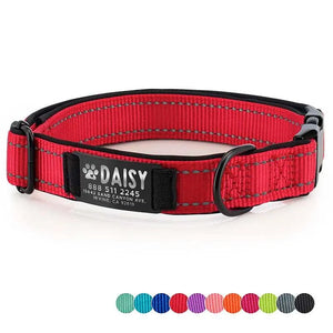 Dog Collar Personalized, Dog Collar with Name and Phone Number, Pet Collar - GiftShire