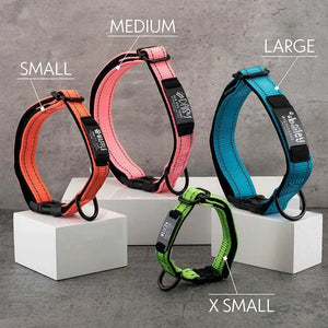 Dog Collar Personalized, Dog Collar with Name and Phone Number, Pet Collar - GiftShire