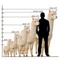 Animal Life-Size Cutout