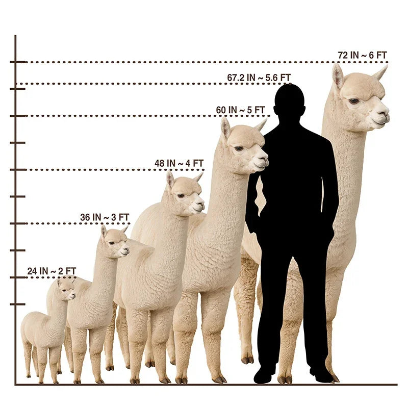 Animal Life-Size Cutout