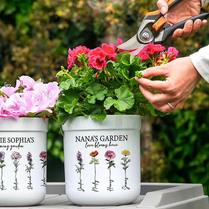 seeds for bonsai trees Seven Variety Pack of Bonsai Tree Seeds – The Bonsai Tool & Supply Company  of Canada main image 0