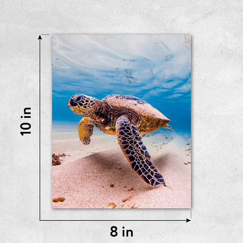 Size_8x10