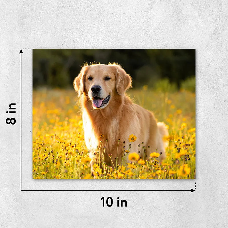 Size_10x8