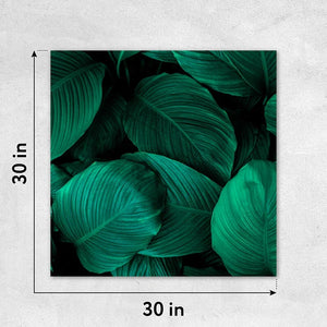 Size_30x30
