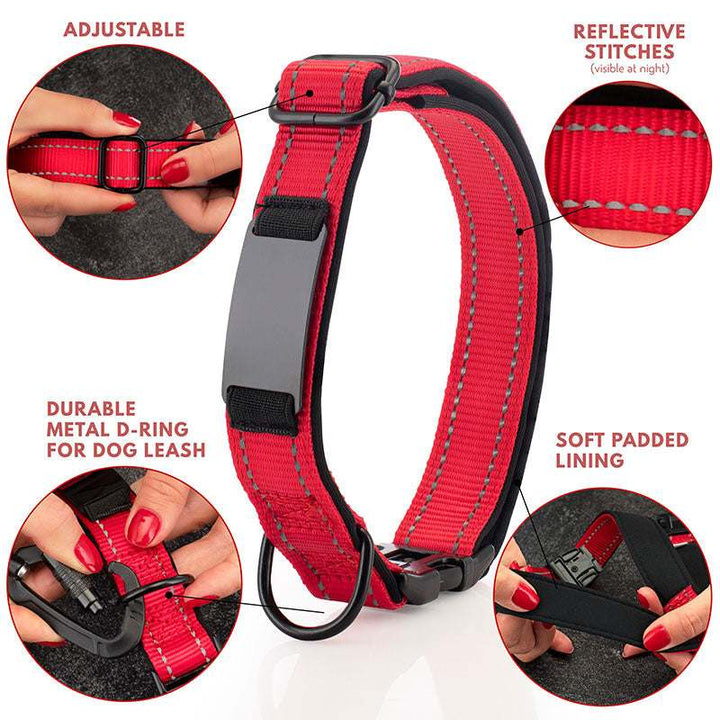 Dog Collar Personalized, Dog Collar with Name and Phone Number, Pet Collar - GiftShire