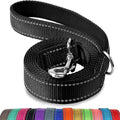Matching Color Dog Leash - GiftShire