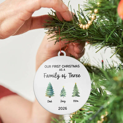 Our 1st Christmas As A Family Ornaments – Custom Tree Hanger