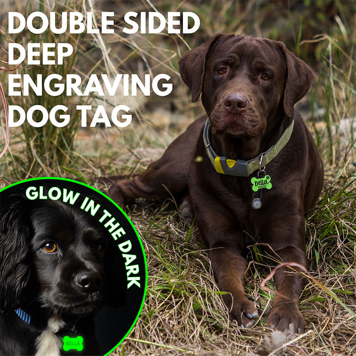 Personalized Dog Tag With Custom Logo Engraving - GiftShire