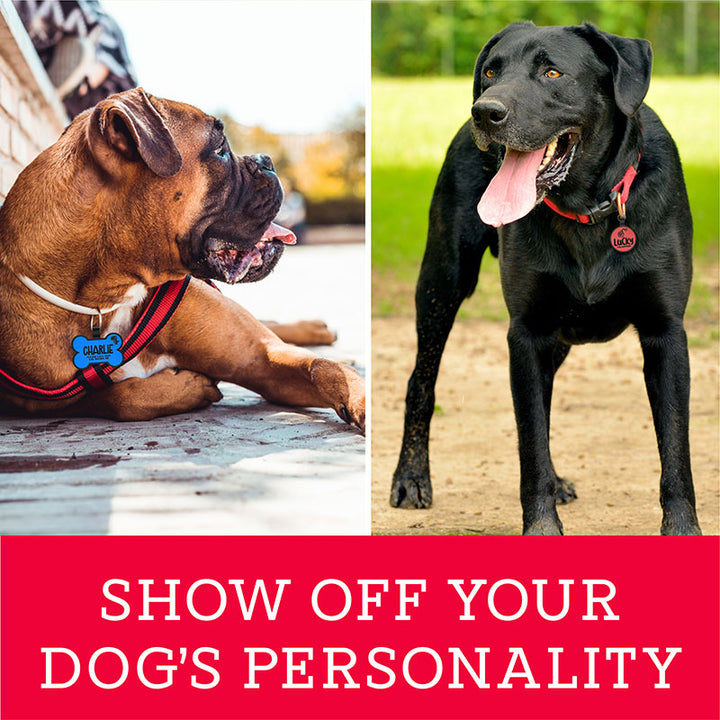 Personalized Dog Tag With Custom Logo Engraving - GiftShire