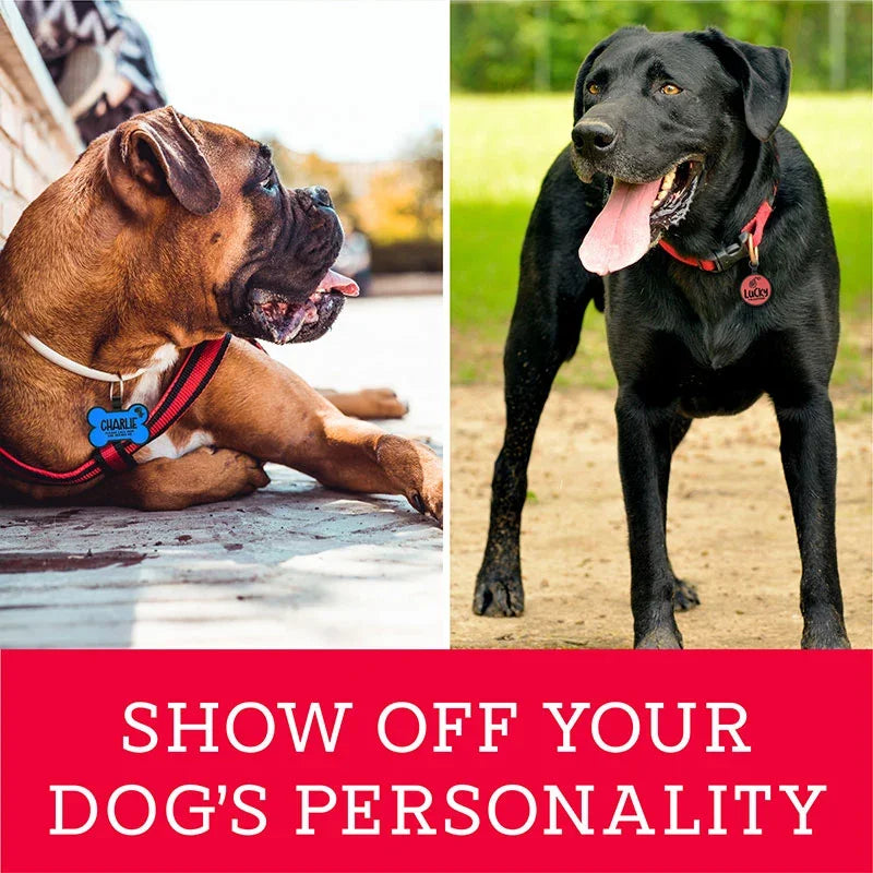 Personalized Dog Tag With Custom Logo Engraving - GiftShire
