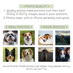 Personalized Pet Photo Picture Frame - GiftShire