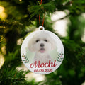 Pet Memorial Gifts for Christmas – Photo Keepsake of Your Cat or Dog