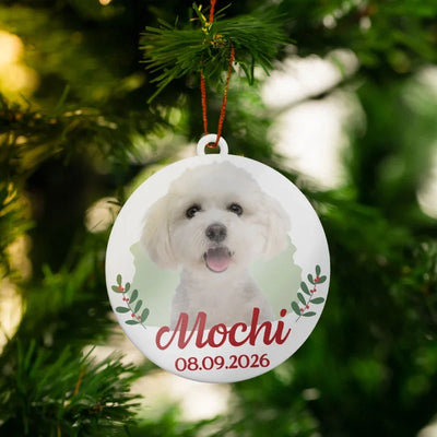 Pet Memorial Gifts for Christmas – Photo Keepsake of Your Cat or Dog