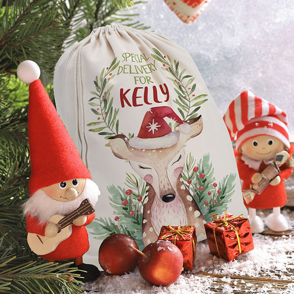 Special Delivery Personalized Santa Sack