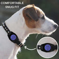 AirTag Cover Dog Collar or Harness Personalized, Custom Airtag Holder - GiftShire