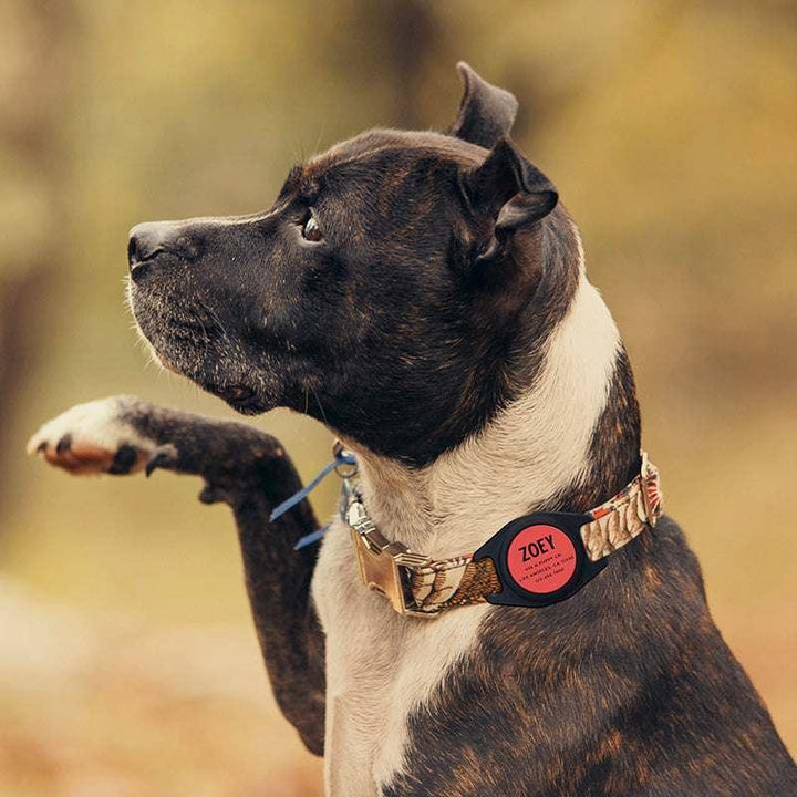 Engraved Airtag Dog Collar Holder, Personalized Airtag Case for Dogs - GiftShire