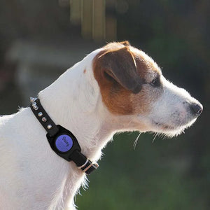 Engraved Airtag Dog Collar Holder, Personalized Airtag Case for Dogs - GiftShire