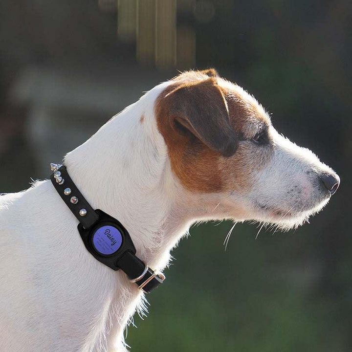 Engraved Airtag Dog Collar Holder, Personalized Airtag Case for Dogs - GiftShire