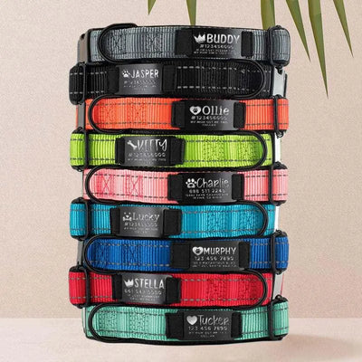Dog Collar Personalized, Dog Collar with Name and Phone Number, Pet Collar - GiftShire