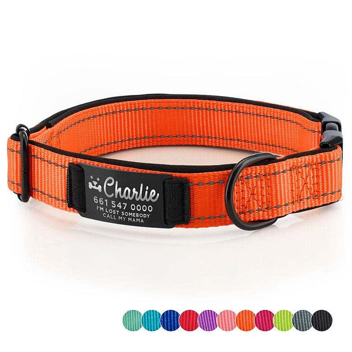Dog Collar Personalized, Dog Collar with Name and Phone Number, Pet Collar - GiftShire