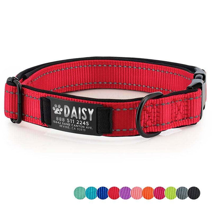Dog Collar Personalized, Dog Collar with Name and Phone Number, Pet Collar - GiftShire
