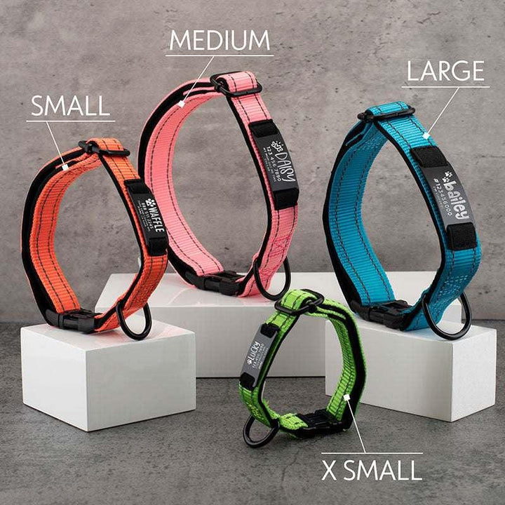 Dog Collar Personalized, Dog Collar with Name and Phone Number, Pet Collar - GiftShire