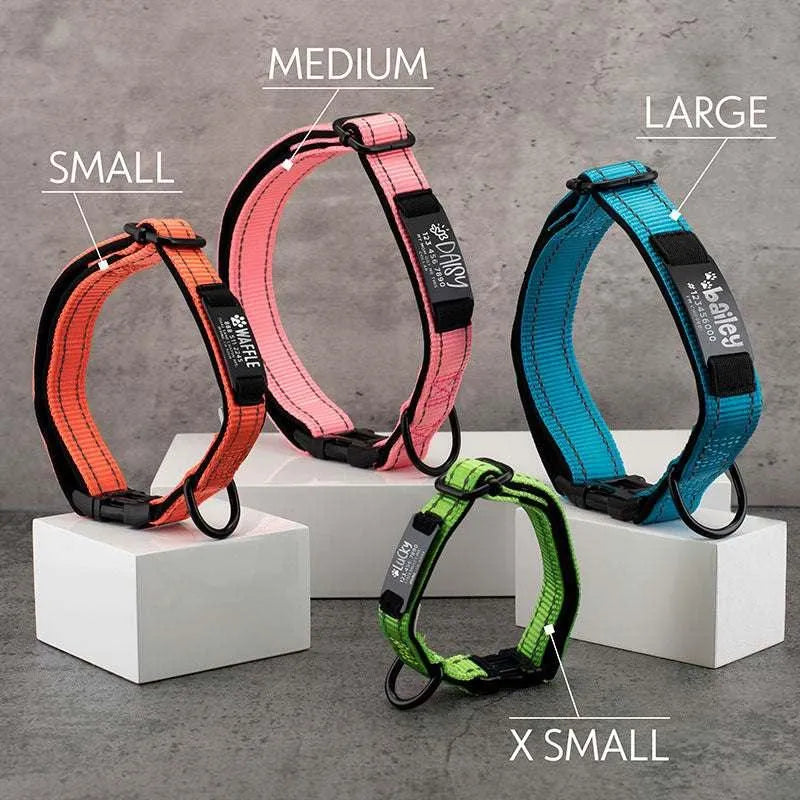 Dog Collar Personalized, Dog Collar with Name and Phone Number, Pet Collar - GiftShire
